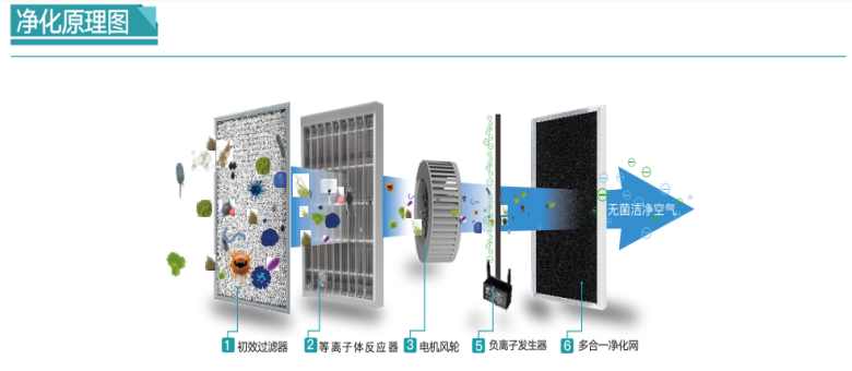 1736383185361716.png 1713975150748938.png